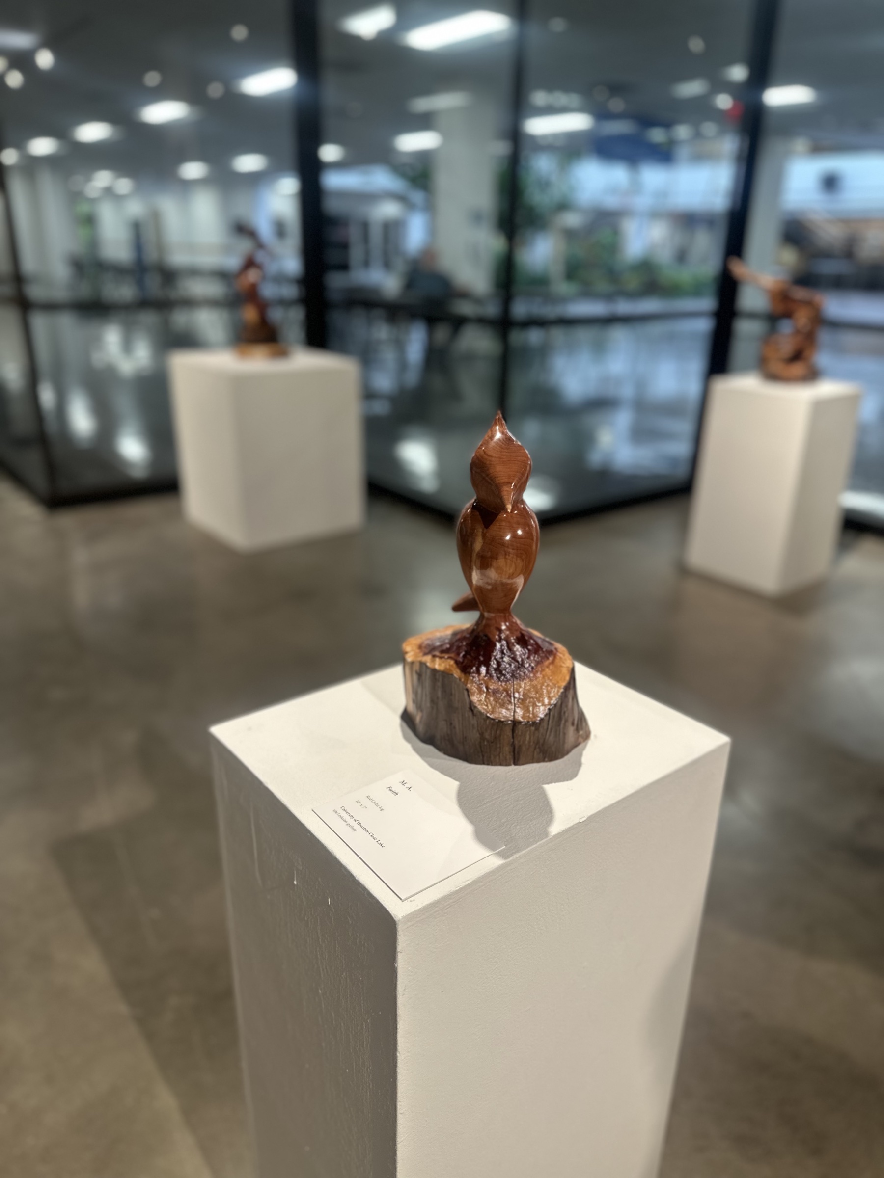 UHCL Show — photo 9