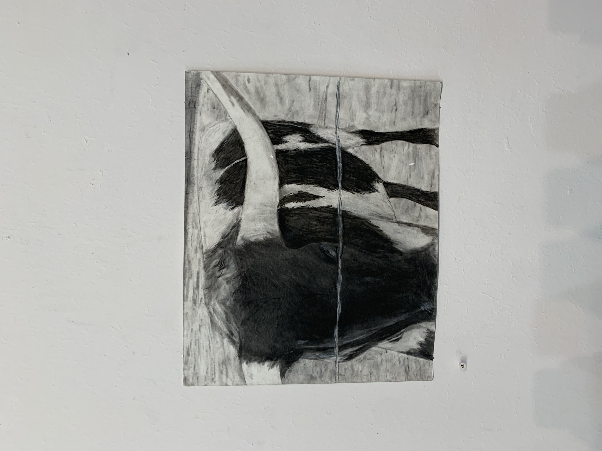 Ava Jackson Show — photo 106