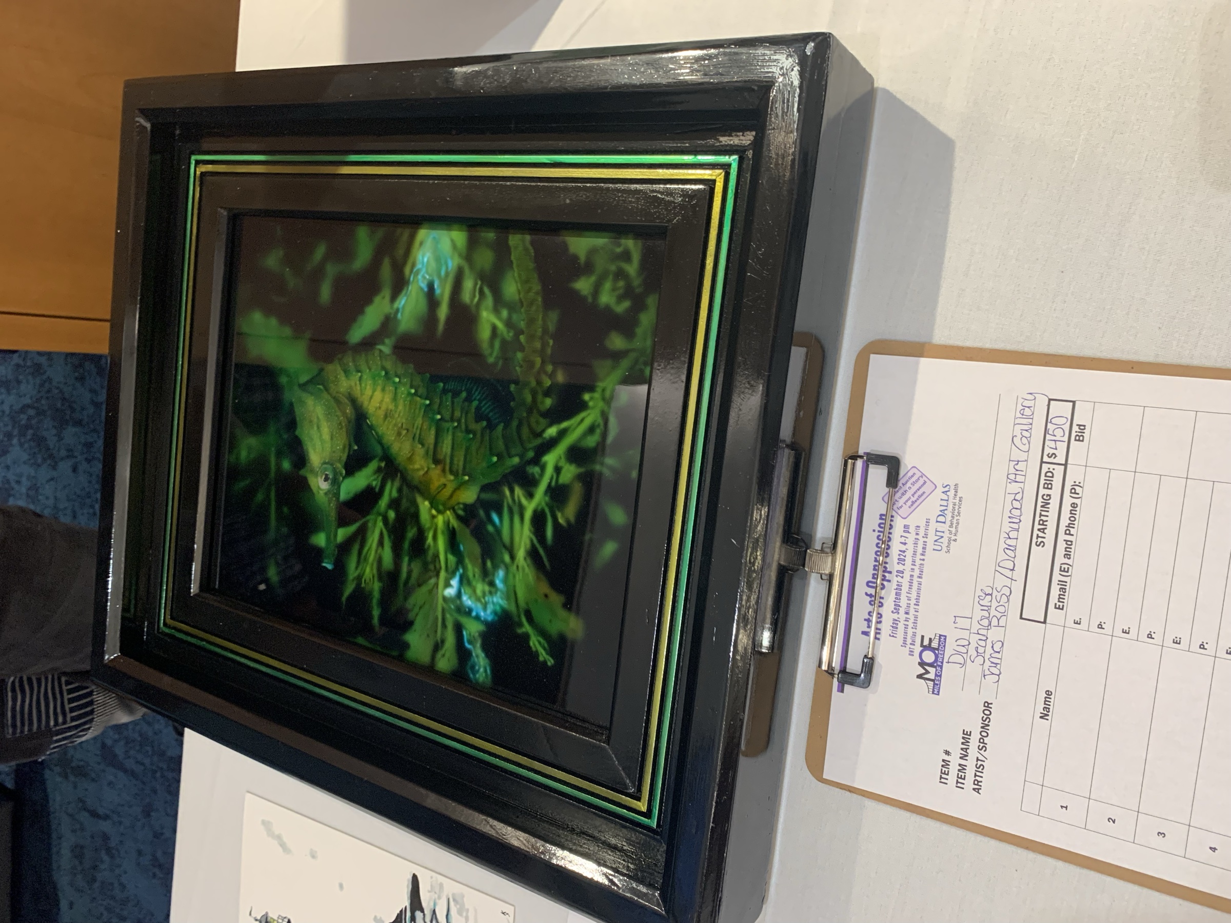 UNT Dallas Show — photo 25